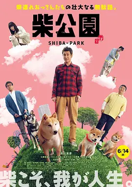 卑劣的街头