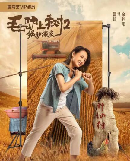 低调的女总裁