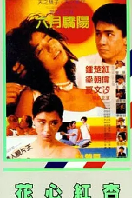 bdsm china