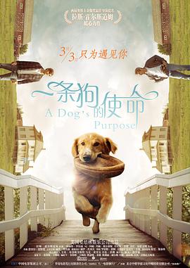 亚洲日韩色综合视频