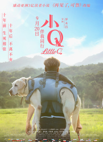 午夜视频在线观看www中文