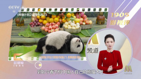 1对1视频